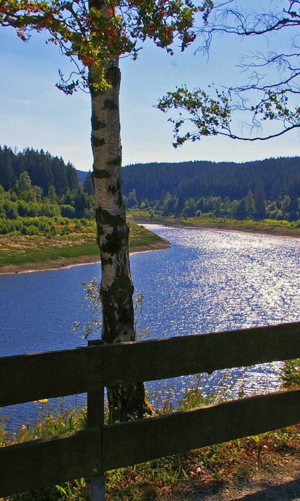Nachmittagssonne Okertalsperre 0808