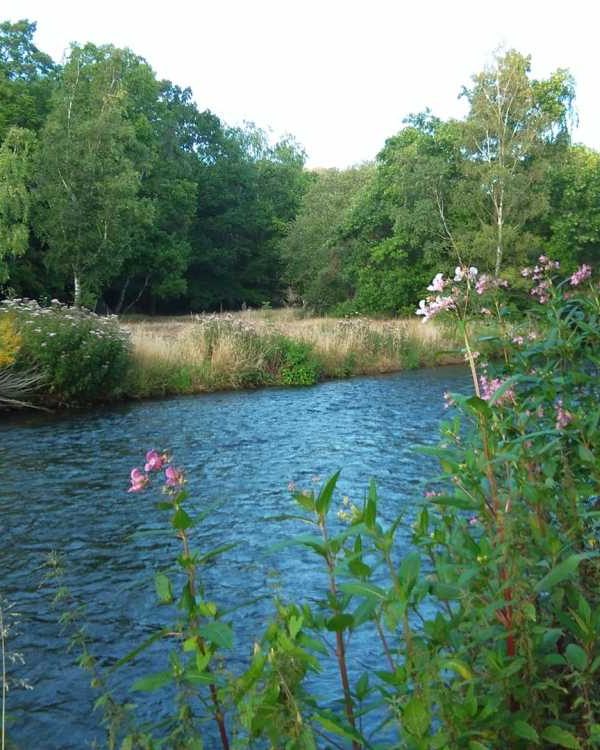 Die Oker bei Vienenburg