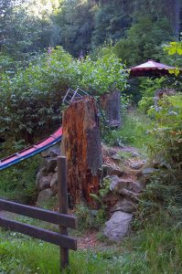 Radauwasserfall Bad Harzburg