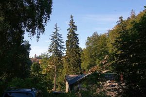Radauwasserfall Bad Harzburg