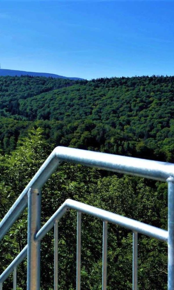 Blick vom Startturm der Baumschwebebahn Harz zum Brocken