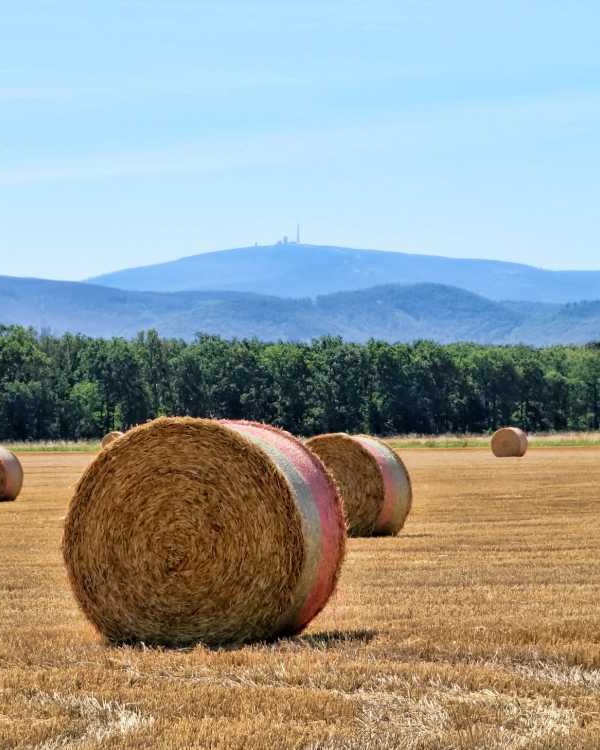 Strohrollen mit Brockenblick