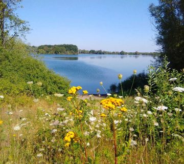Wiedelaher See