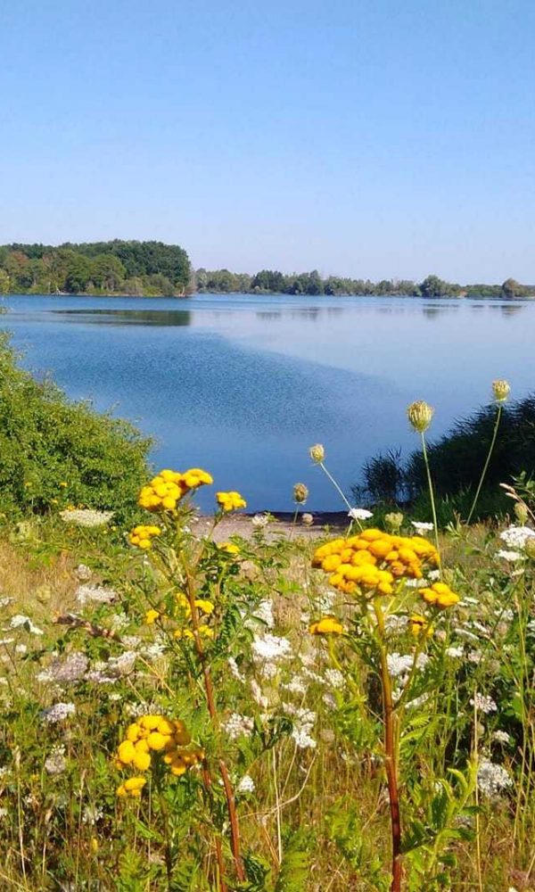 Wiedelaher See