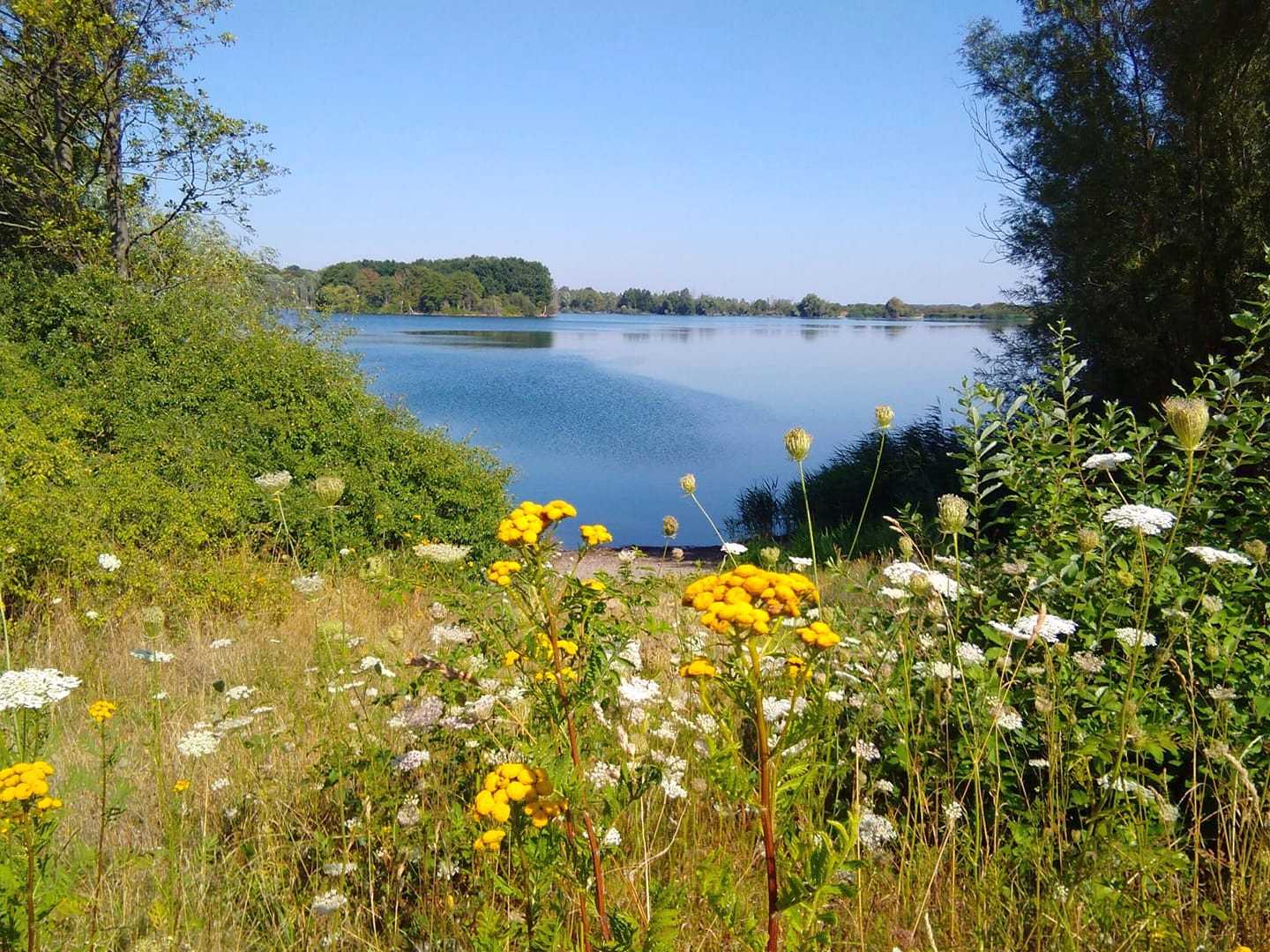 Wiedelaher See