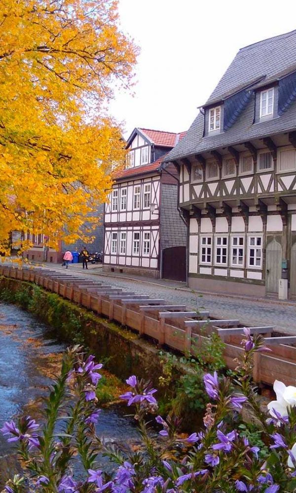 Abzucht Goslar