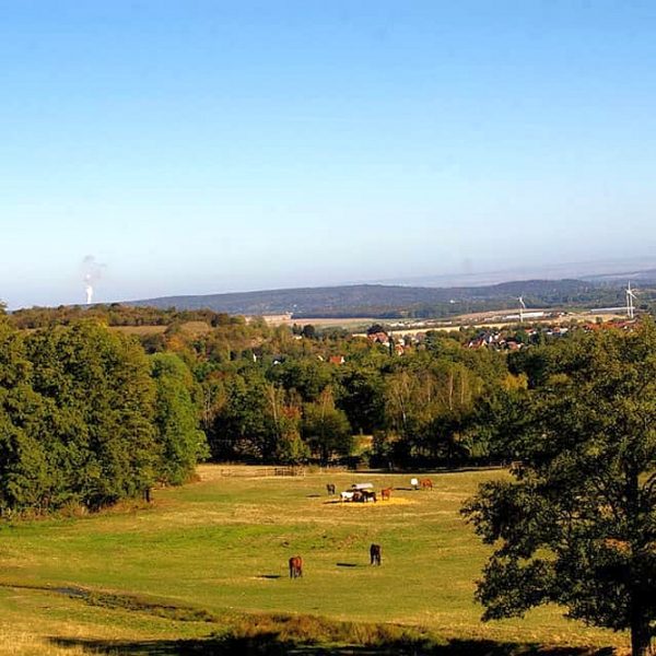 Gatterweg Schlewecke