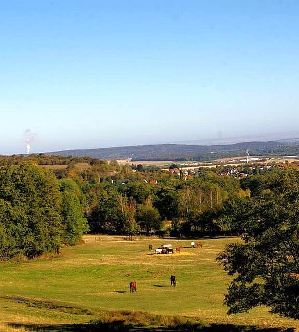 Gatterweg Schlewecke