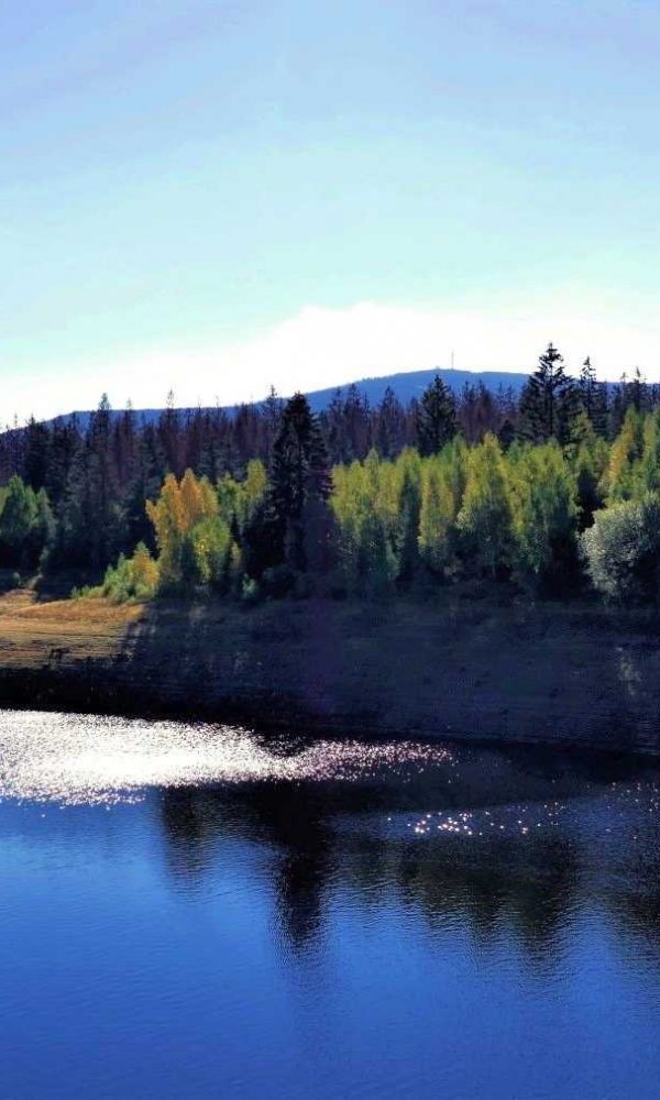 Eckertalsperre