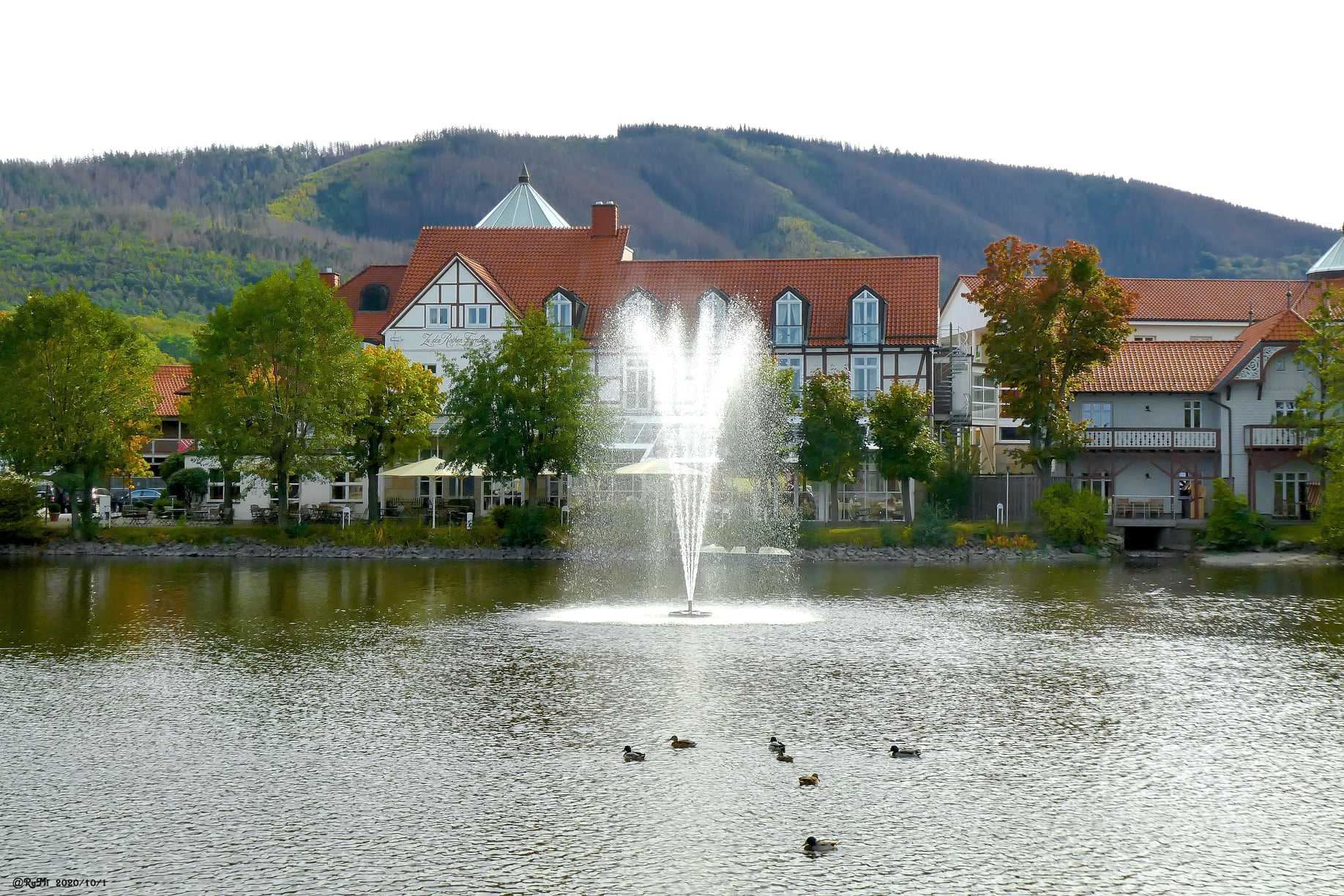 Forellenteich Ilsenburg