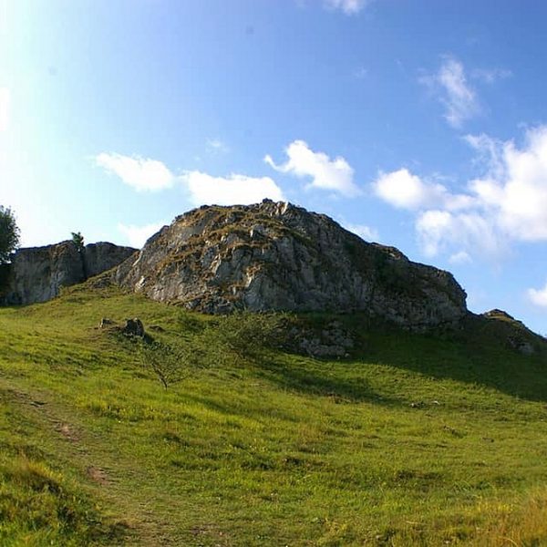 Harzer Wandernadel - Galgenberg