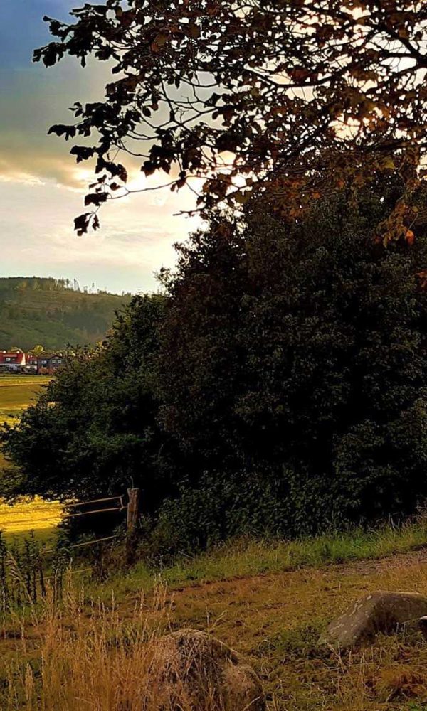 Blick auf Göttingerode