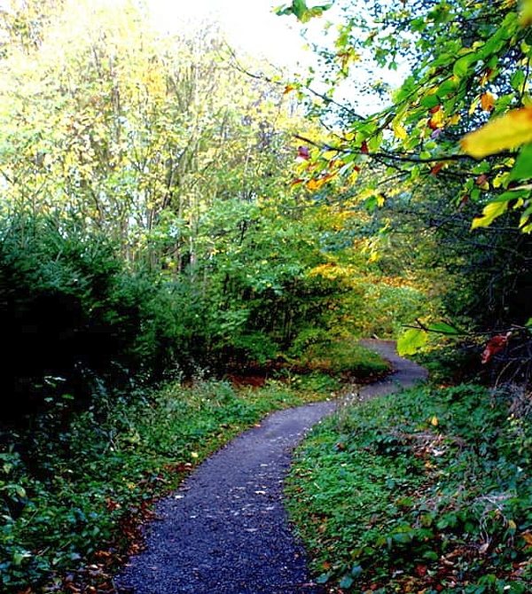 Herbst im Ilsetal
