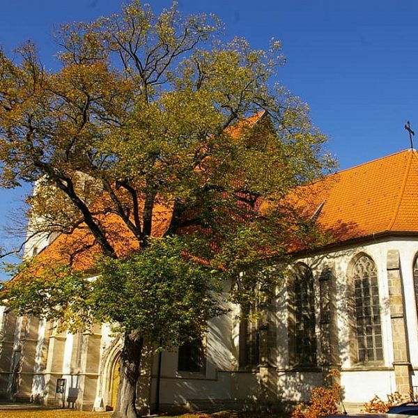 Harzbilder Osterwieck