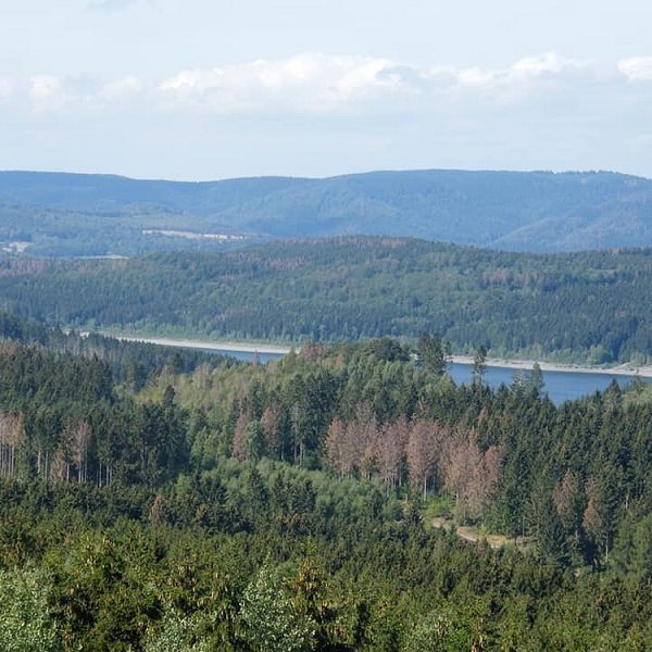 Harzbilder