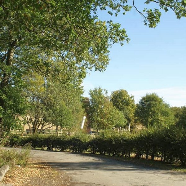 Harzbilder