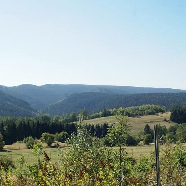 Harzbilder