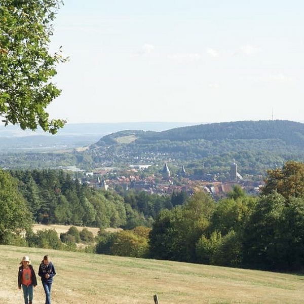 Harzbilder
