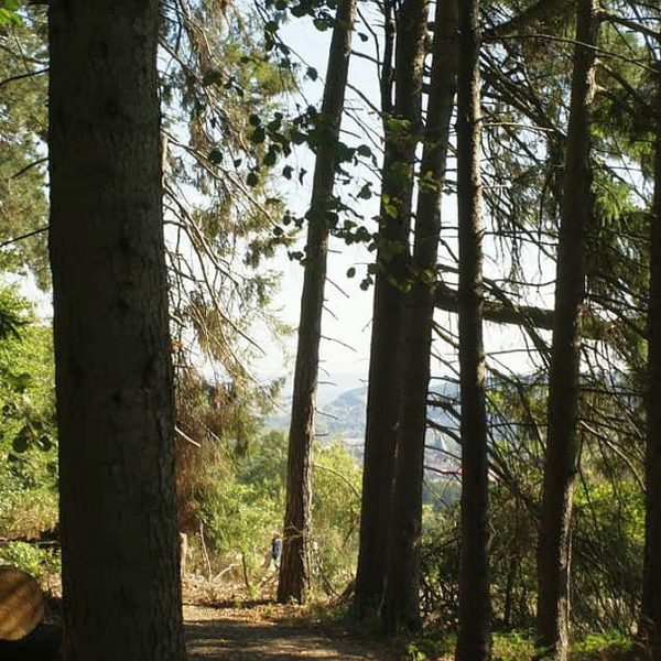 Harzbilder