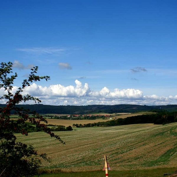 HWN - Hampurger Wappen