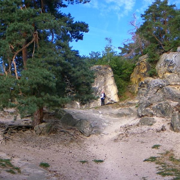 HWN - Hampurger Wappen