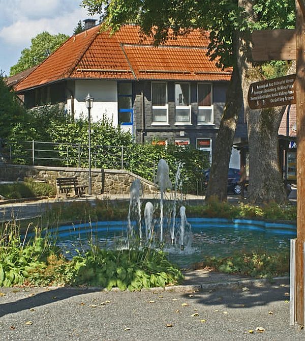 Harzbilder Altenau