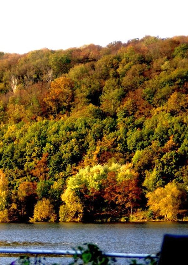 Herbst am Vienenburger See