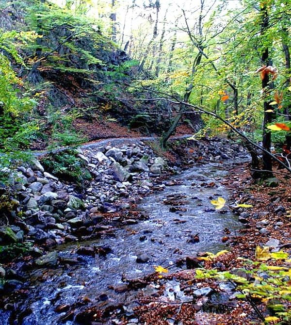 Herbst im Ilsetal