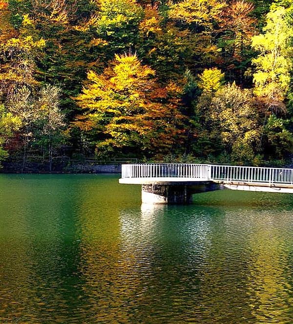 Harzbilder: Herzberger Teich
