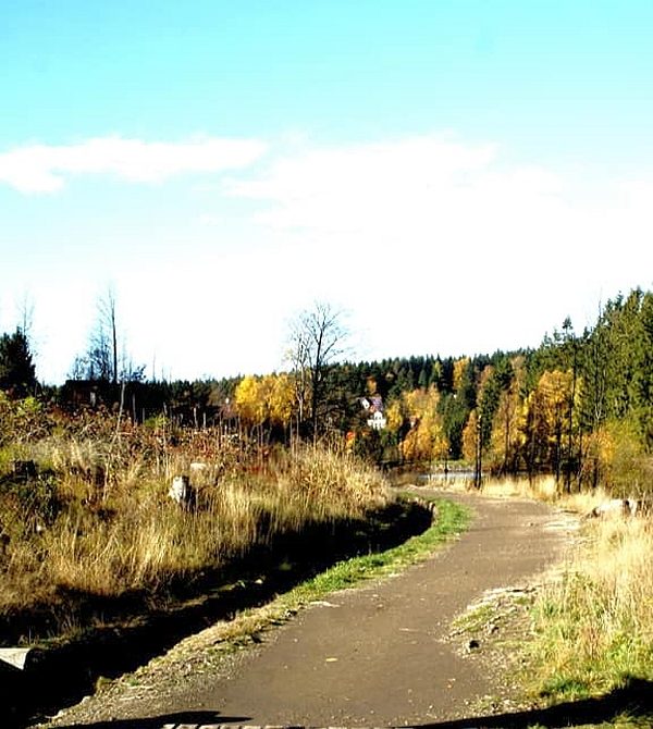 Liebesbankweg bei Hahnenklee