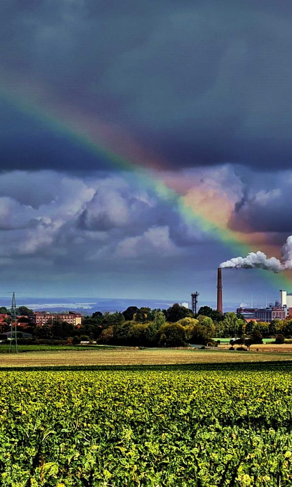 Regenbogen trifft Zuckerfabrik