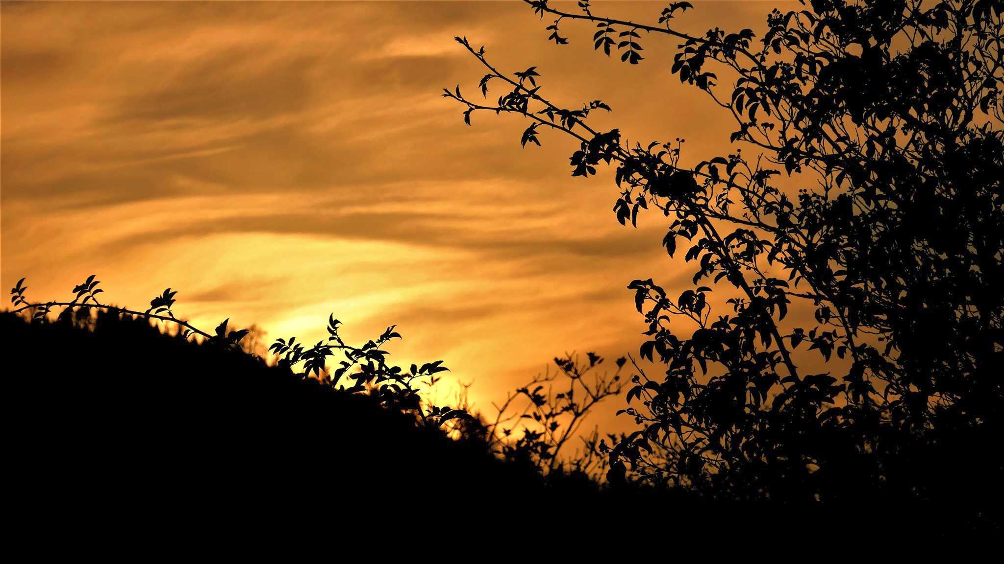 Sonnenuntergang über Bad Harzburg