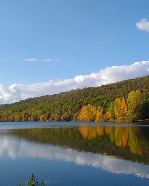 Vienenburger See