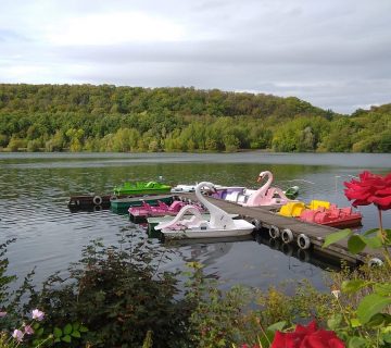 Tretbootsteg am Vienenburger See