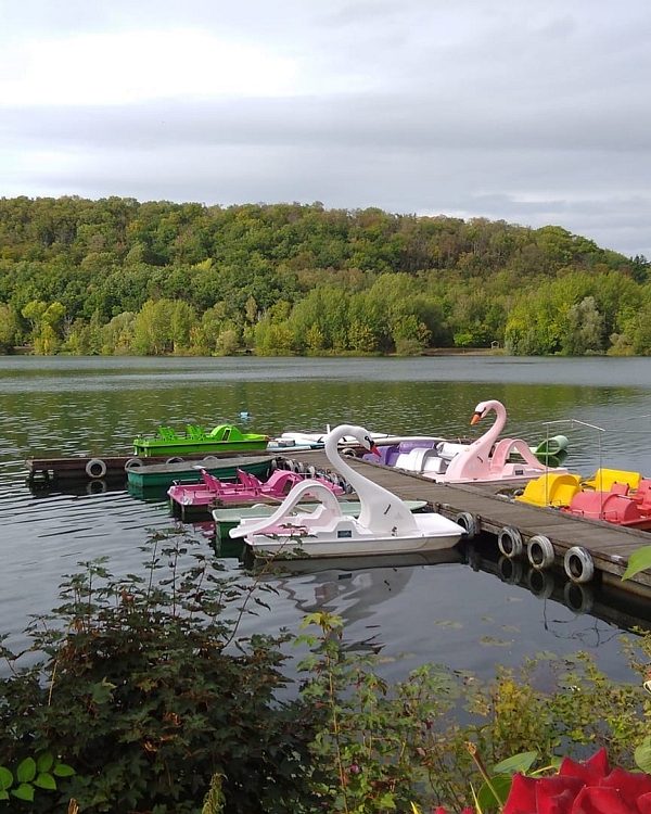 Tretbootsteg am Vienenburger See