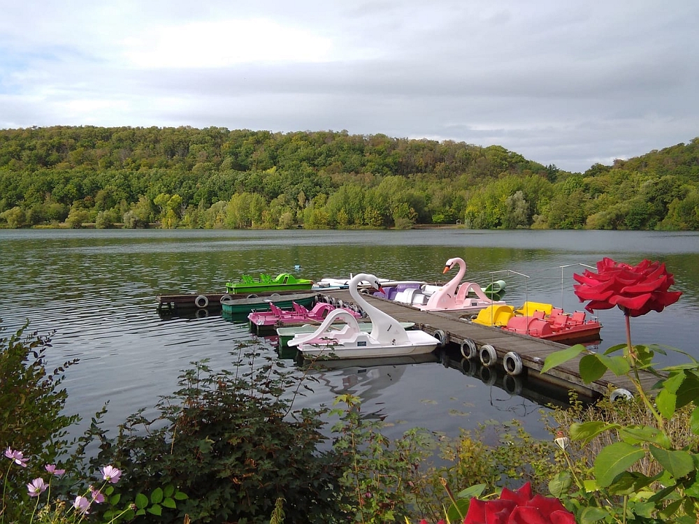 Tretbootsteg am Vienenburger See
