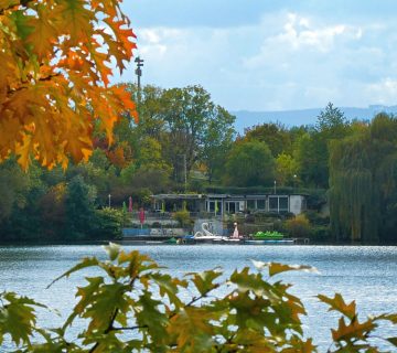 Vienenburger See