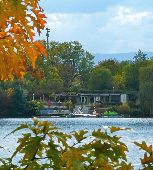 Vienenburger See