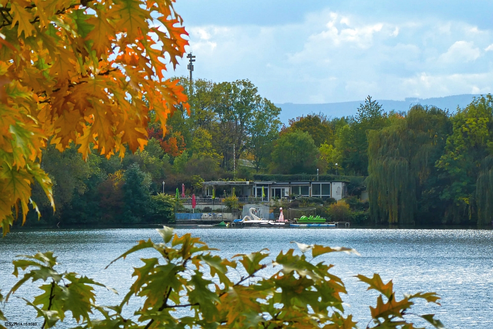 Vienenburger See