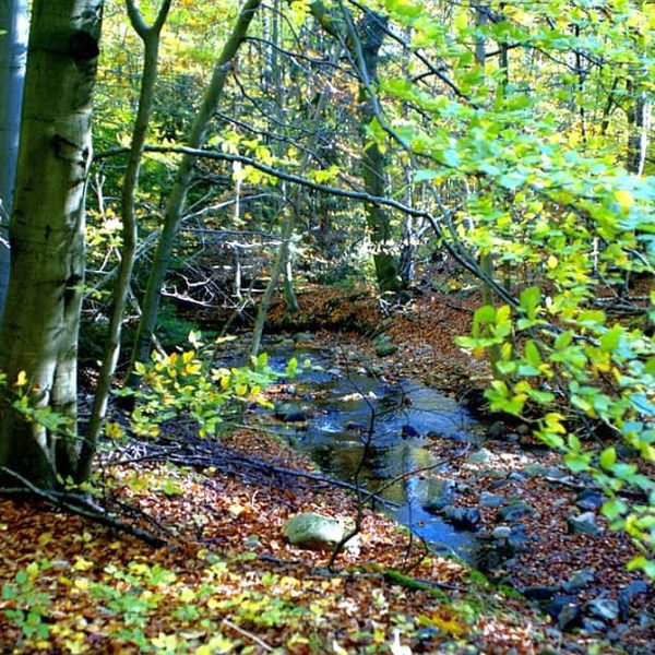 Wandernadel Sonderstempel