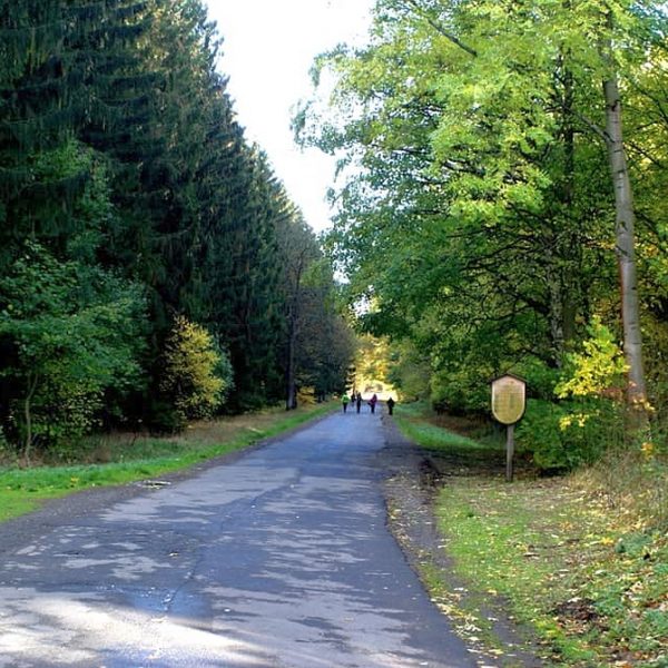 Wandernadel Sonderstempel