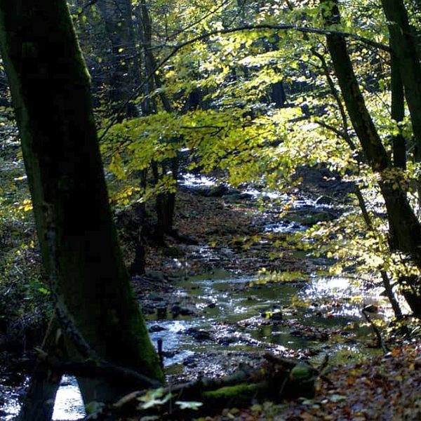 Wandernadel Sonderstempel
