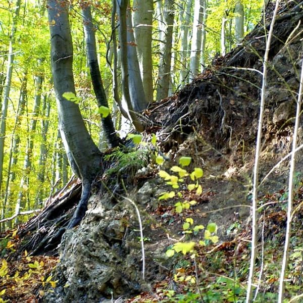 Wandernadel Sonderstempel