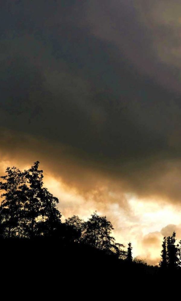 Wetter Bad Harzburg