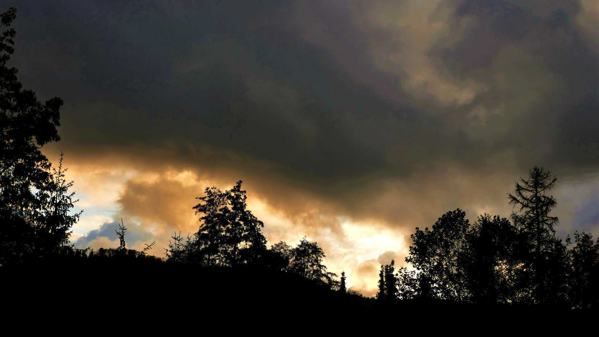 Wetter Bad Harzburg