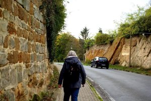 Herbst in Quedlinburg