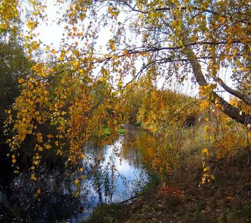 An der Oker