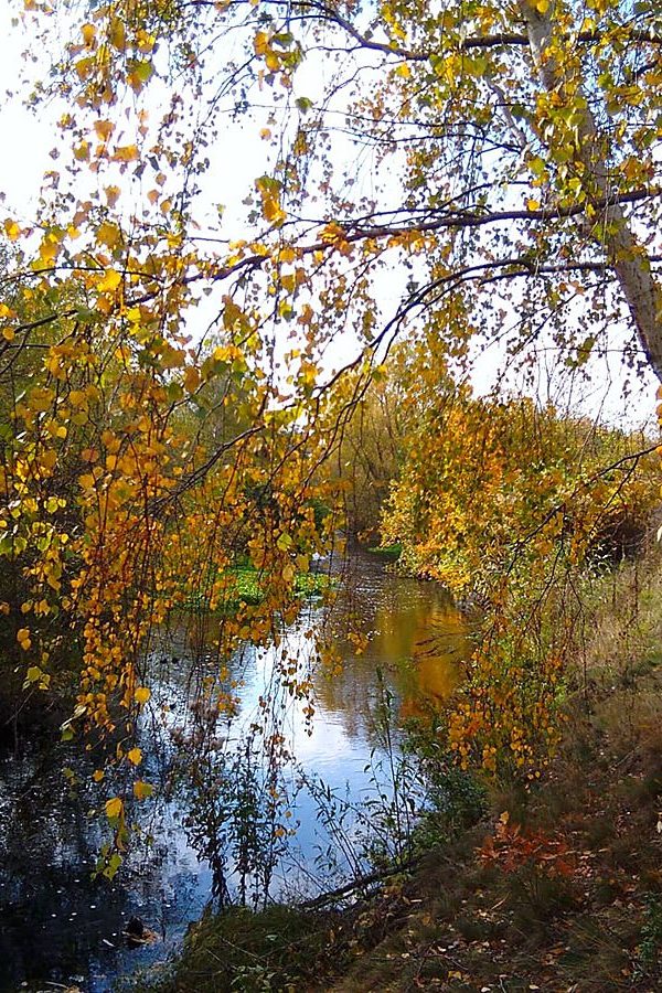 An der Oker