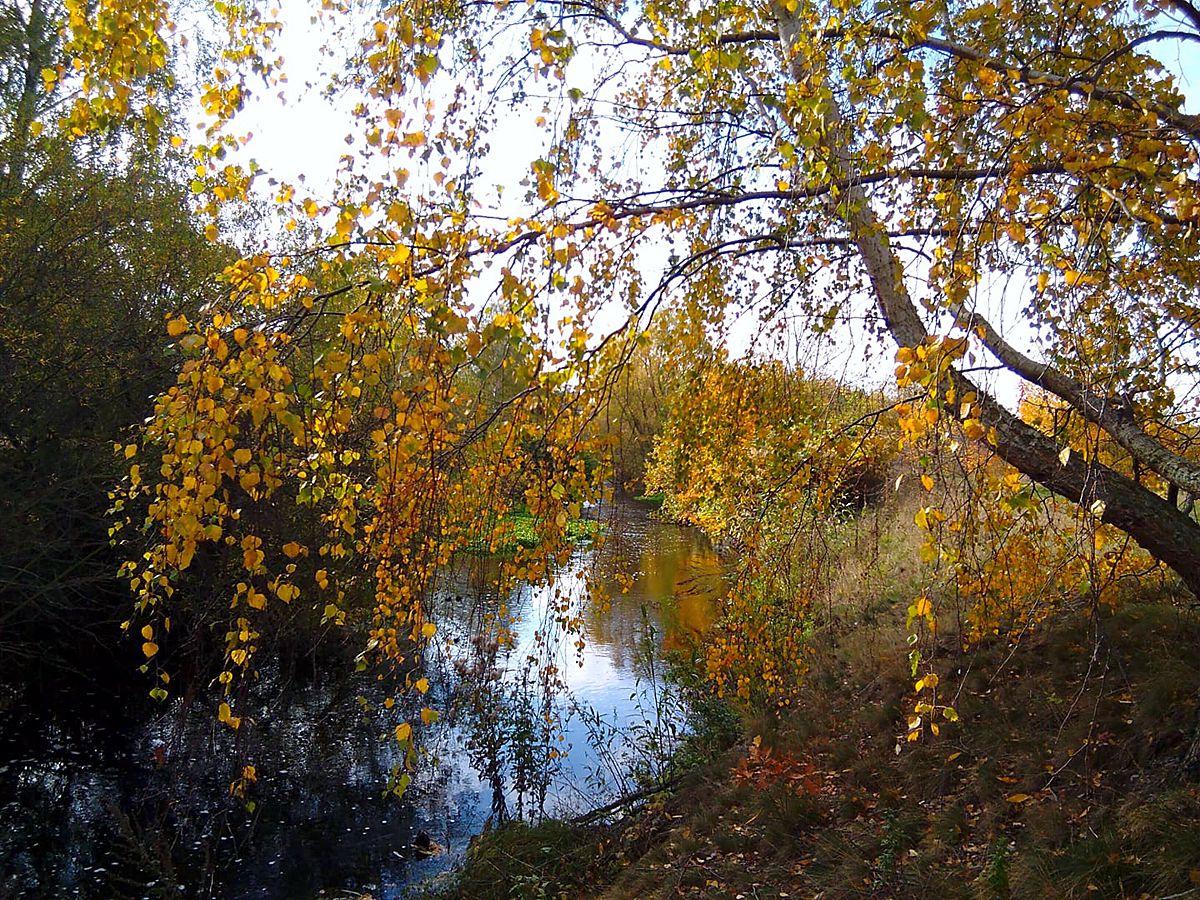 An der Oker