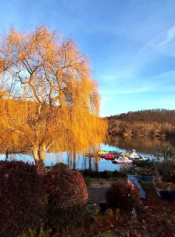 Vienenburger See